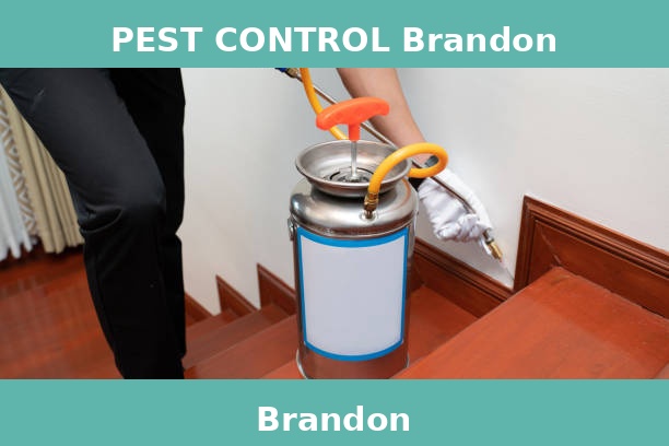 PEST CONTROL Brandon